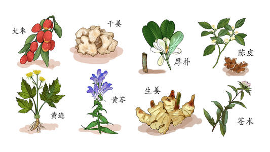 中药材大全植物中药材大全